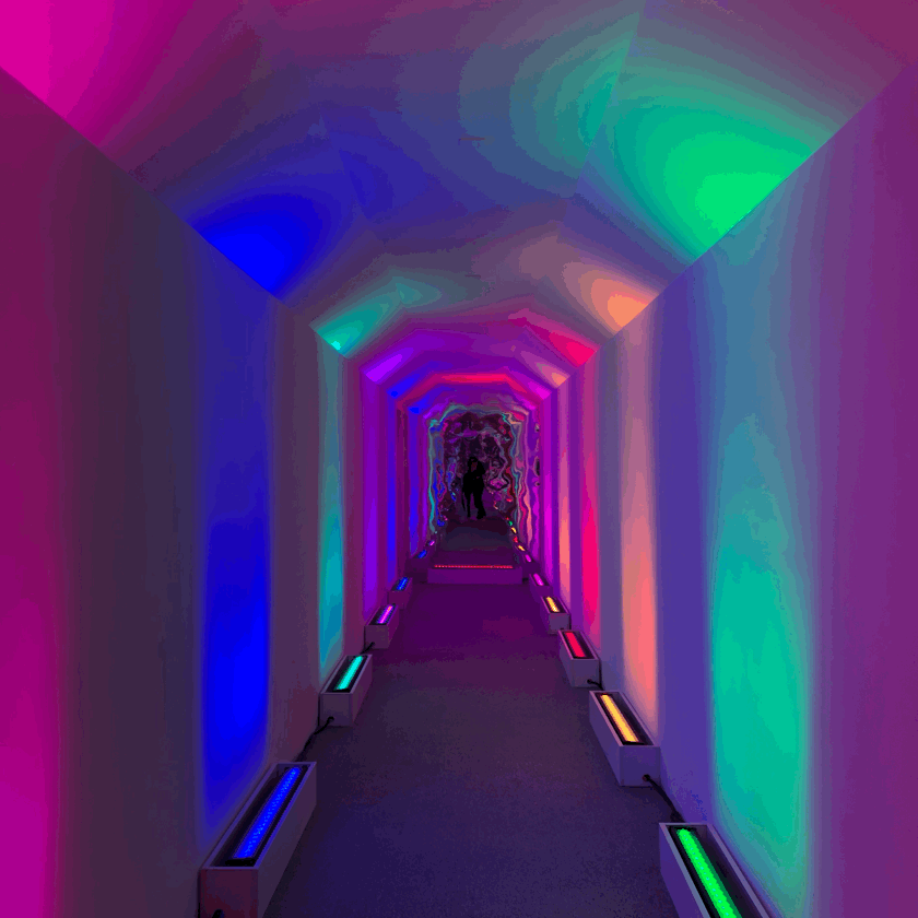 上海{moo}媄术馆|中国至彩沉浸当代艺术展展览购票