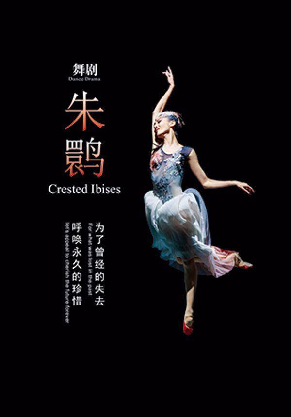 上海歌舞团 舞剧《朱鹮》