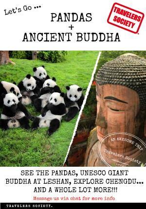 Travelers Society:Let’s go…see the Pandas + an Awesome Giant Buddha!!! 