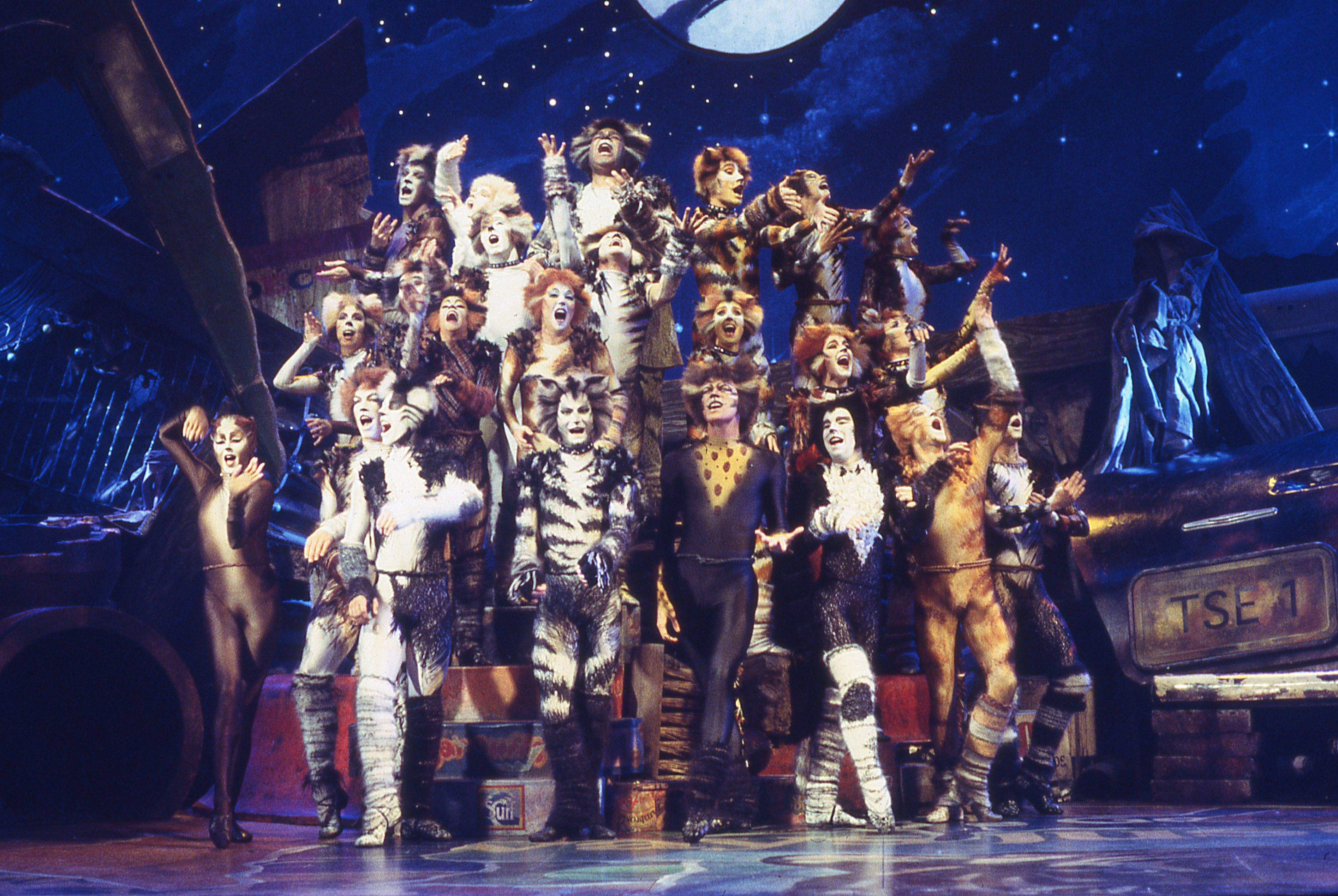 Characters Cats Musical Cast Cat Meme Stock Pictures and Photos