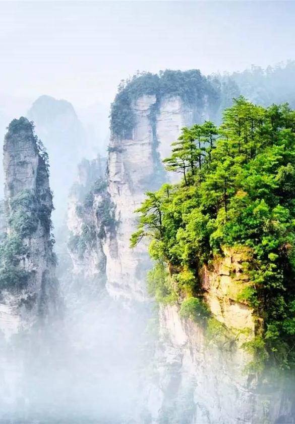Zhangjiajie | CNY 4-Day Avatar Mountain & Glass Bridge Tour