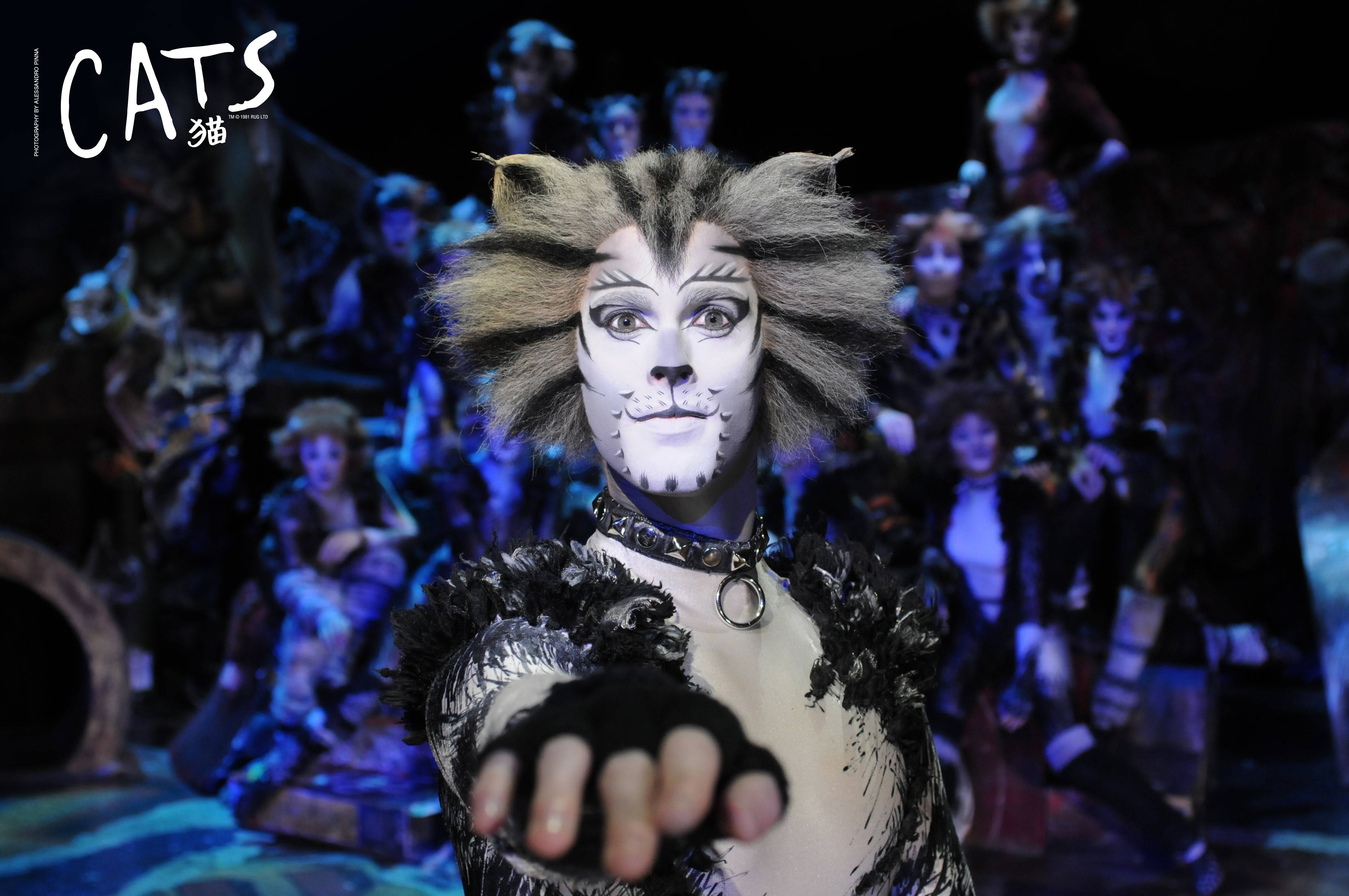 cats the musical tour