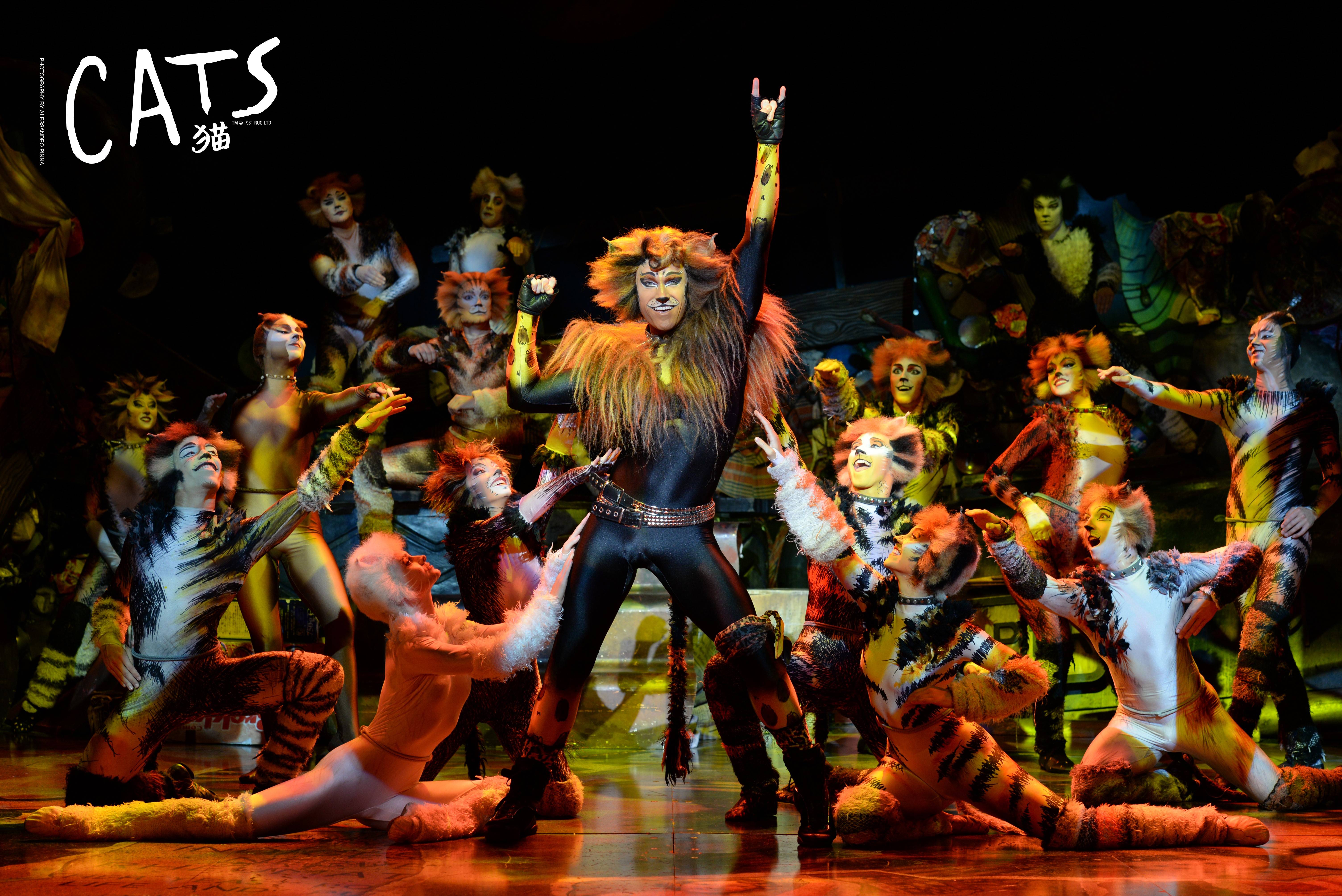 Buy Cats the Musical Stage Tickets Beijing