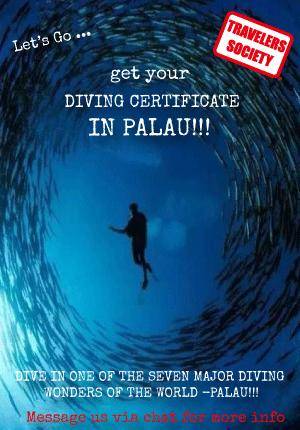 Travelers Society: Let's get our diving certificates in Palau!!! (Chinese New Year)