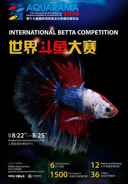 Aquarama International Betta Competition