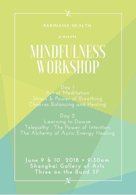 Mindfulness Workshop 