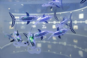 Suzhou Robot Museum