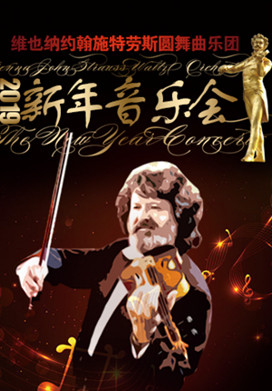 Wiener Johann Strauss Walzer Orchester: The New Year Concert