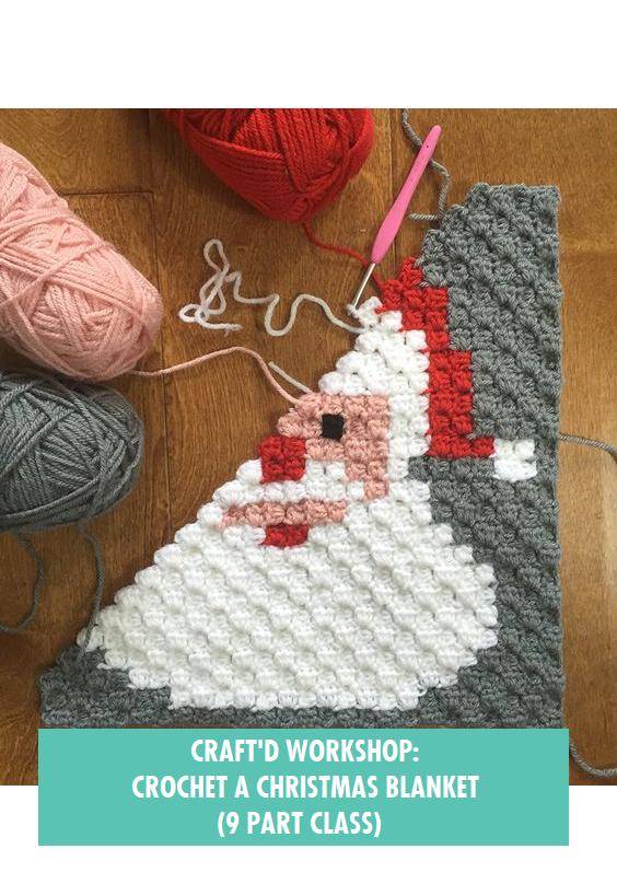 Crochet a Christmas Blanket (9 Part Class)