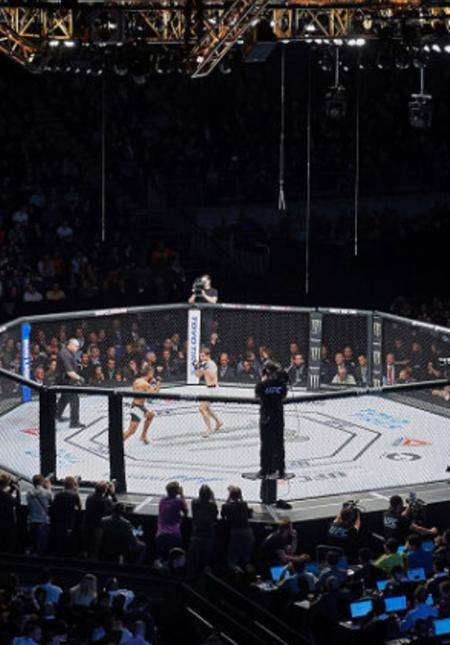 UFC Fight Night + Hotel Package 