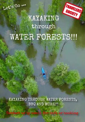 Travelers Society: Let's go…kayaking through water forests!!! 