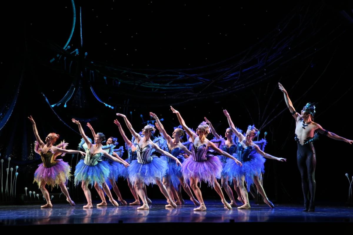 A Midsummer Night's Dream  Queensland Ballet Regional Tour