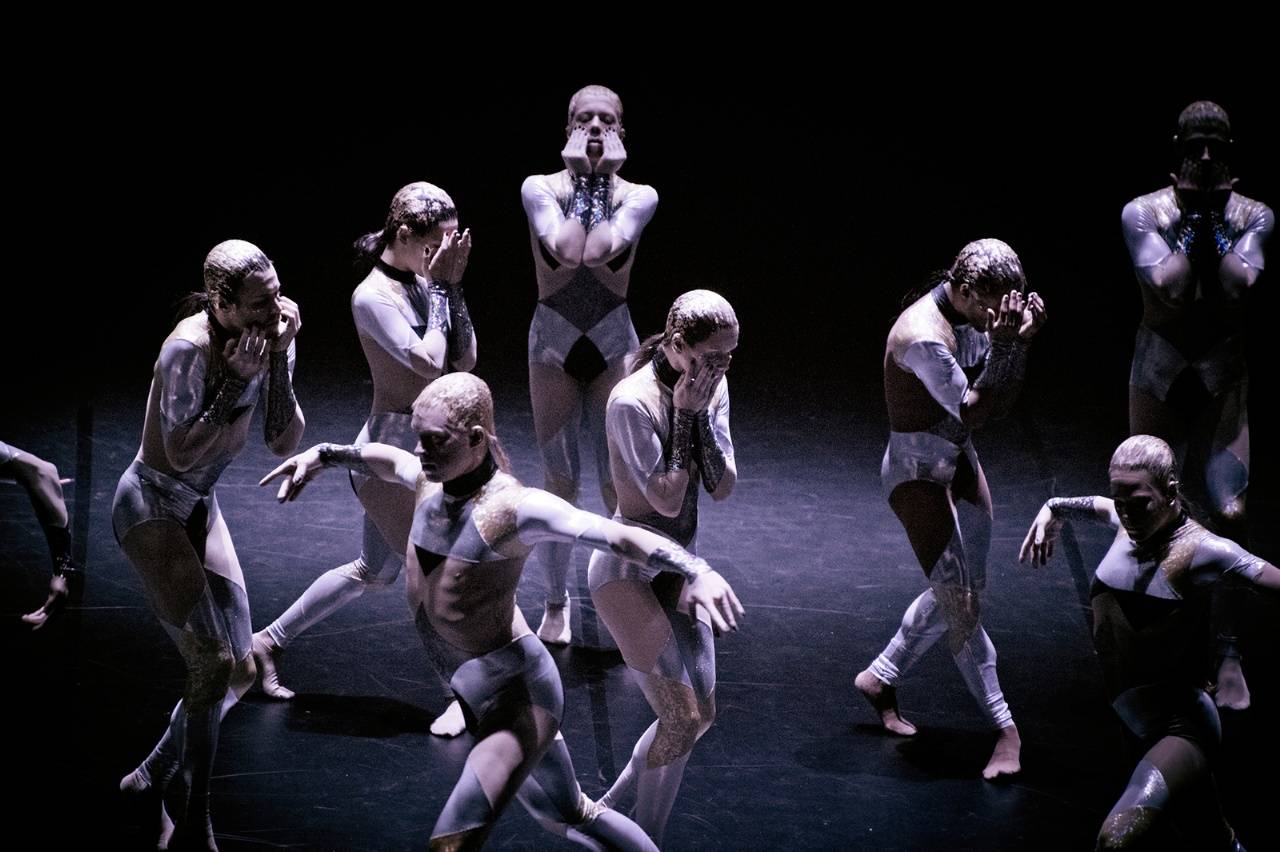 Buy Danskompani "Noetic & Untitled Black" Stage