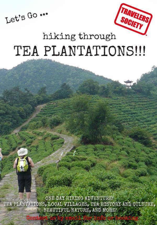 Travelers Society: Let's go...hiking through Tea Plantations! (March 30)
