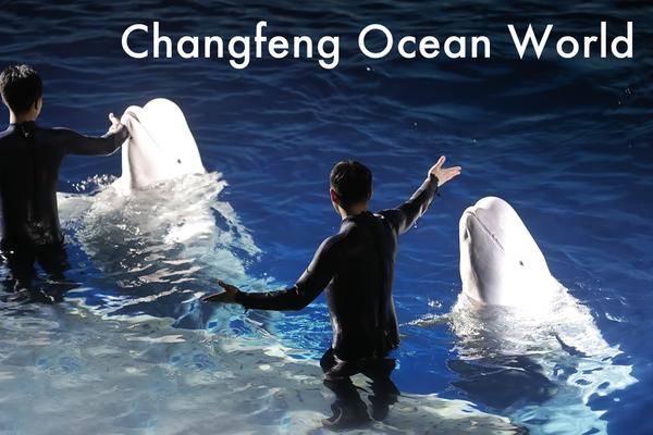 Changfeng Ocean World