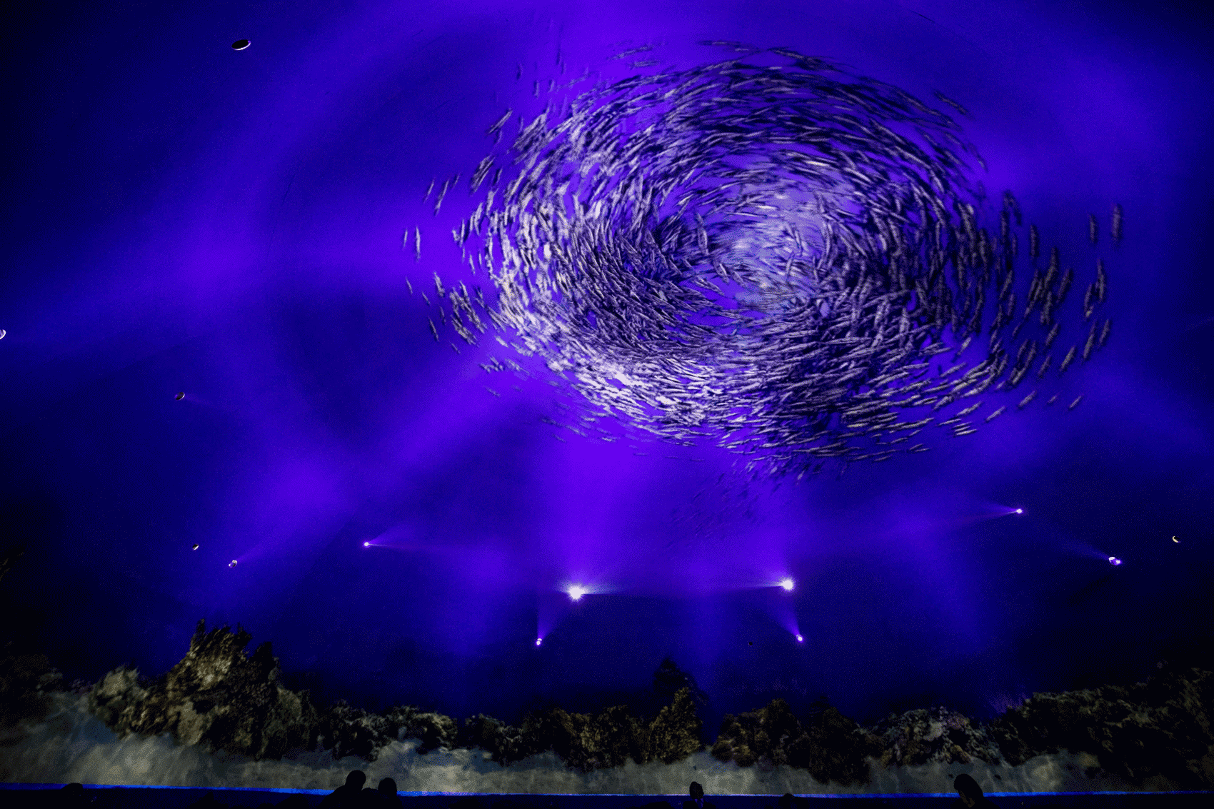 深蓝之境 - 海洋沉浸式体验互动展