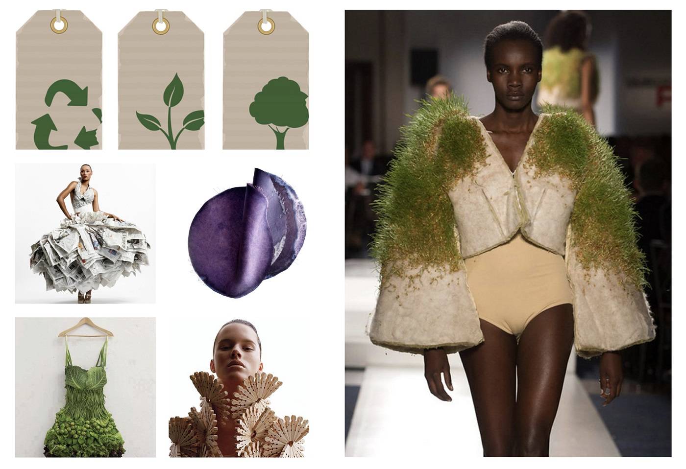 Online Course - Living Clothes: Sustainable Design and Botanical