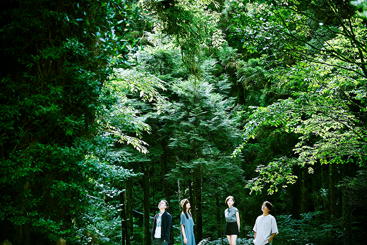 2019台湾新古典乐团cicada专辑走入有雾的森林巡演南京站