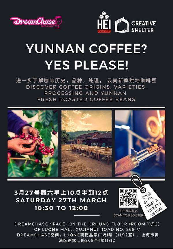 Yunnan Coffee? Yes, Please!