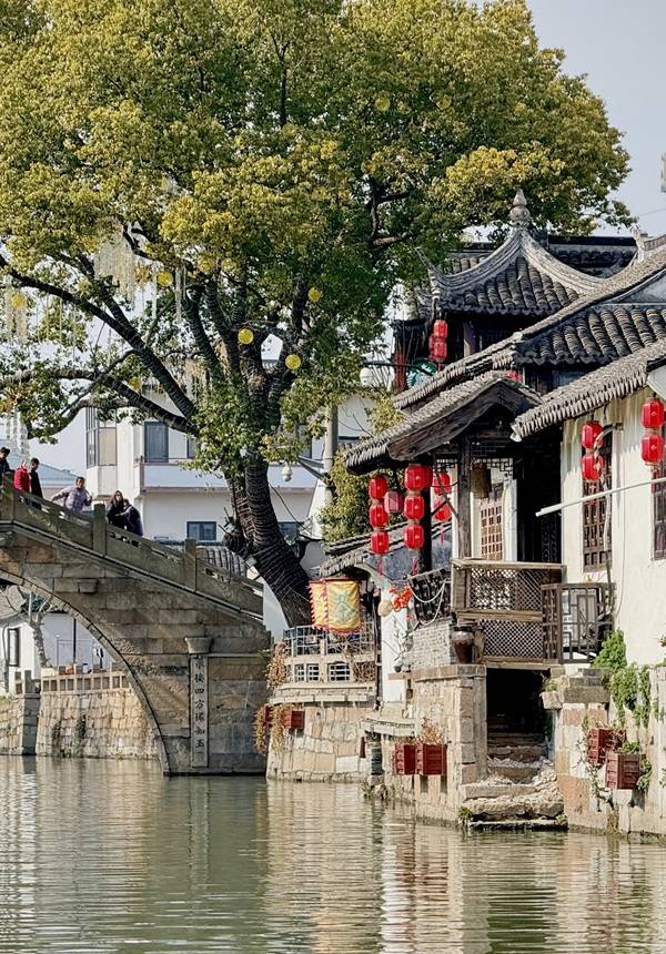 Fengjing Watertown Tour