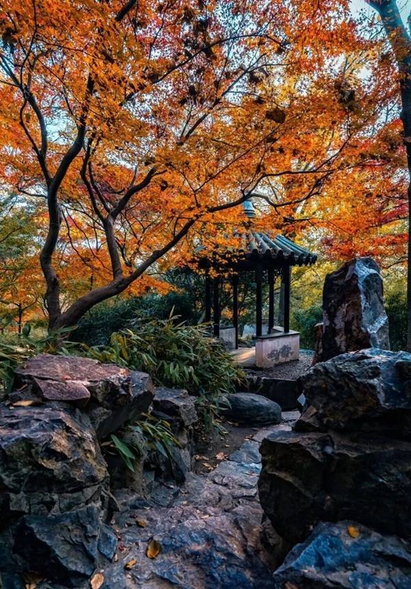 【Book 3 days in advance】Suzhou Autumn Tour