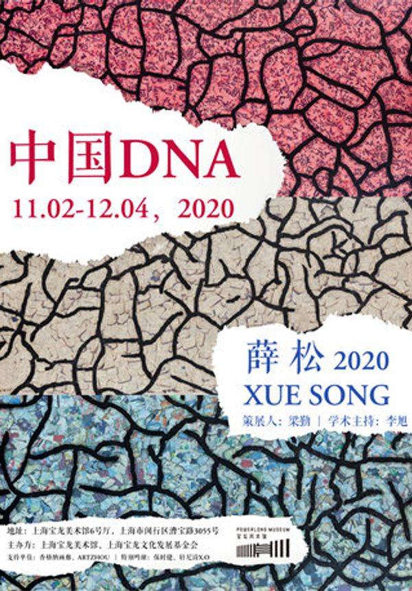 “中国DNA:薛松2020”——宝龙美术馆