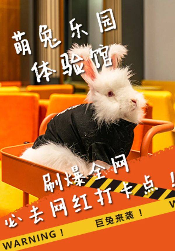 安哥拉萌兔乐园体验 独角兽星空艺术馆旁
